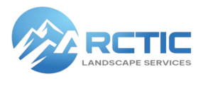arctic removebg preview