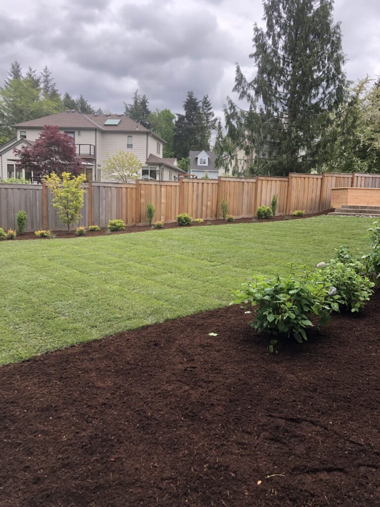 backyard lawn and mulch landscape design salem oregon