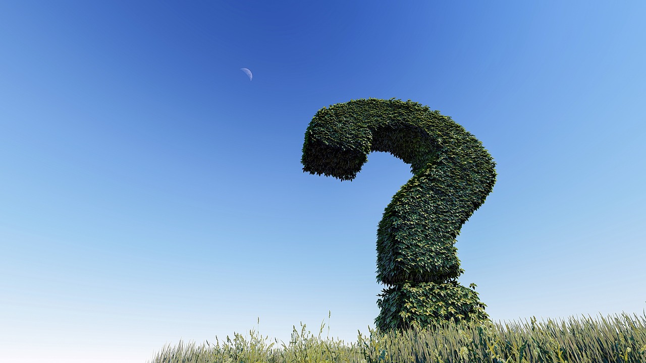 question mark, knowledge, night sky, question, sign, symbol, mark, ask, help, problem, answer, information, solution, why, advice, text, 3d, choice, choose, which, direction, leaves, tree, grass, sky, moon, blue tree, blue moon, blue help, blue grass, blue question, blue leaf, nature, blue information, blue leaves, blue knowledge