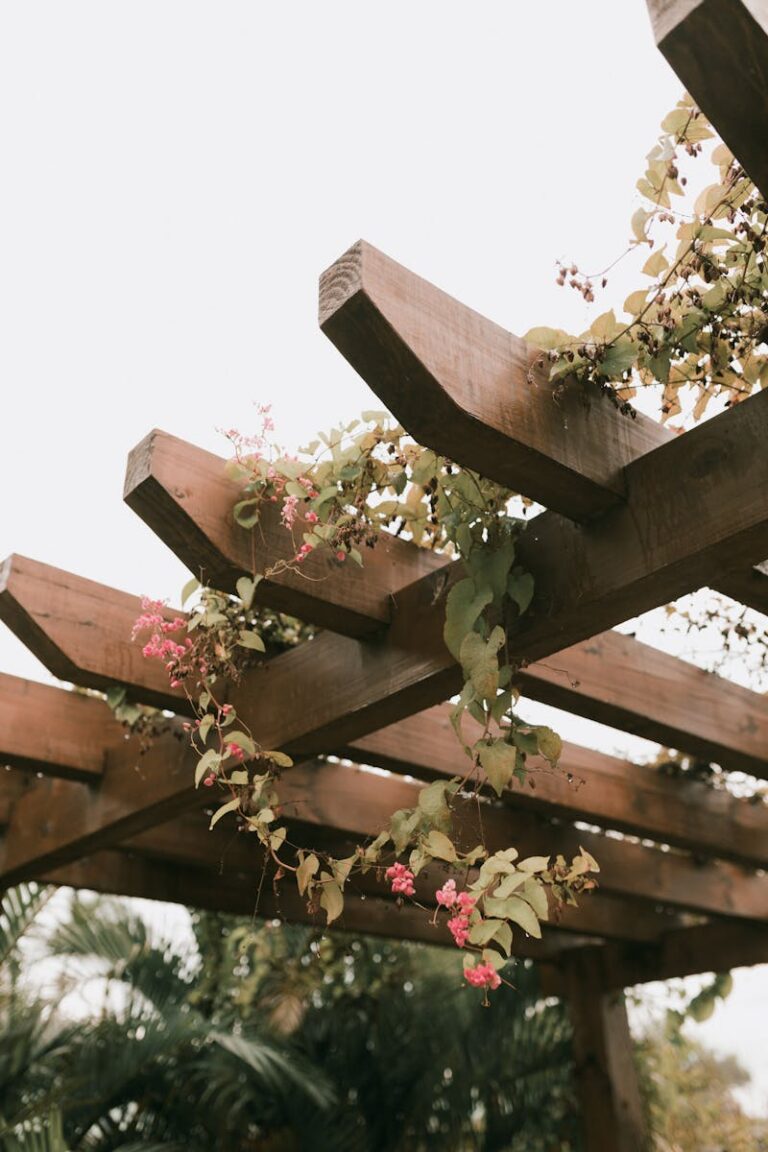 A wooden pergola adorned with climbing pink flowers in an outdoor garden setting.