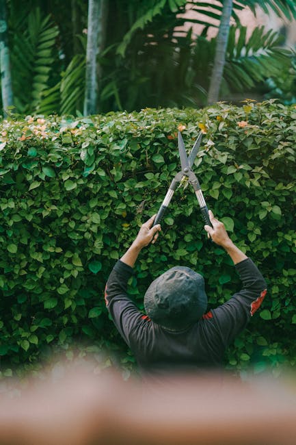 A gardener trimming lush green hedges outdoors in a tropical garden in Jakarta, Indonesia.