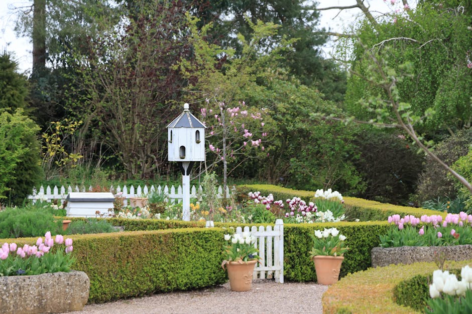 A delightful garden in Bridgemere, England, showcasing vibrant spring flowers and a quaint birdhouse.