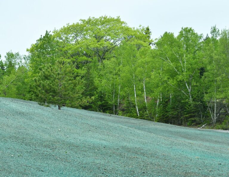 slope hydroseeding and erosion control salem